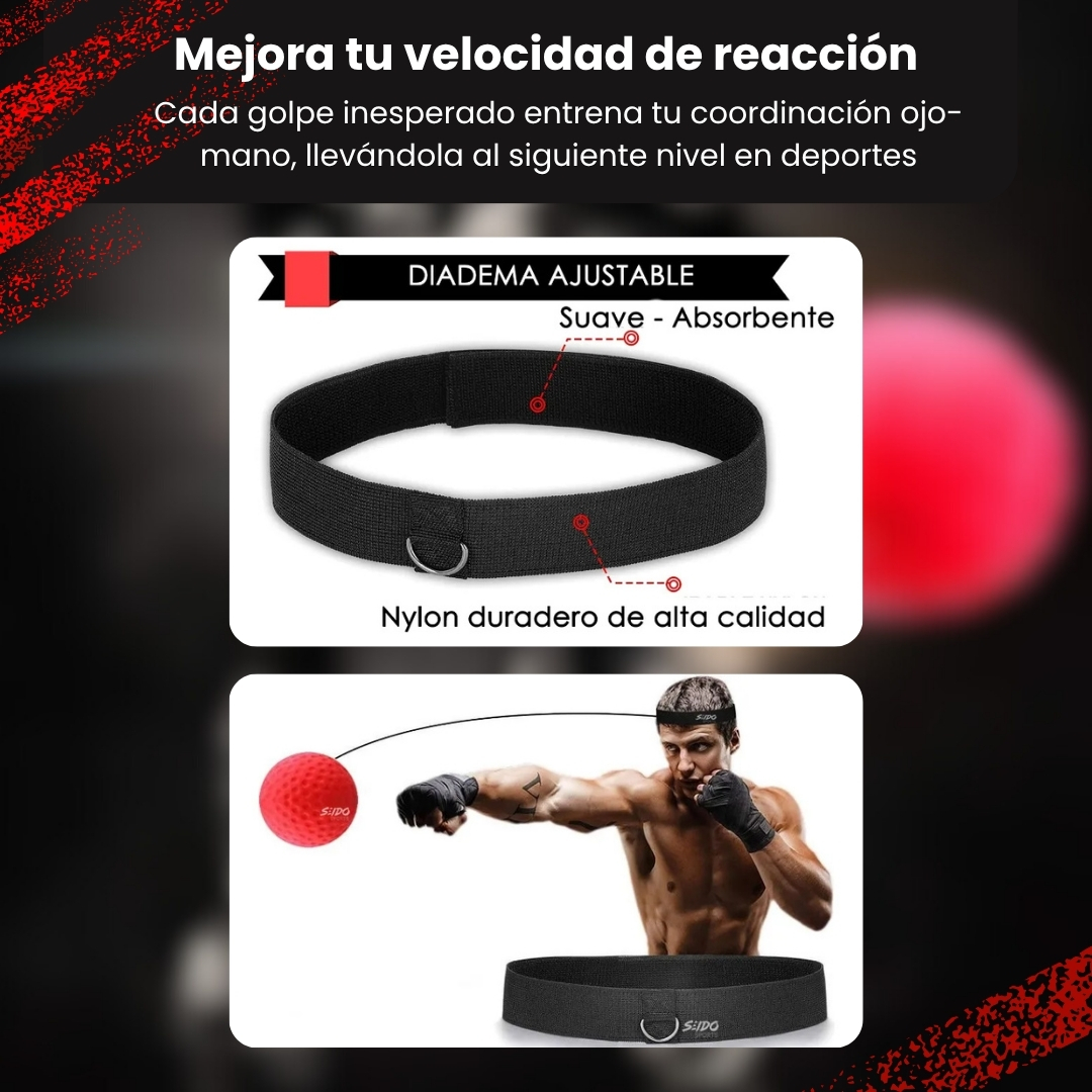 Miniatura 4 de PELOTA DE BOXEO ENTRENAMIENTO REFLEJOS